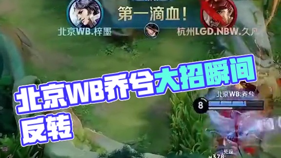 他的技术特 他的技术特