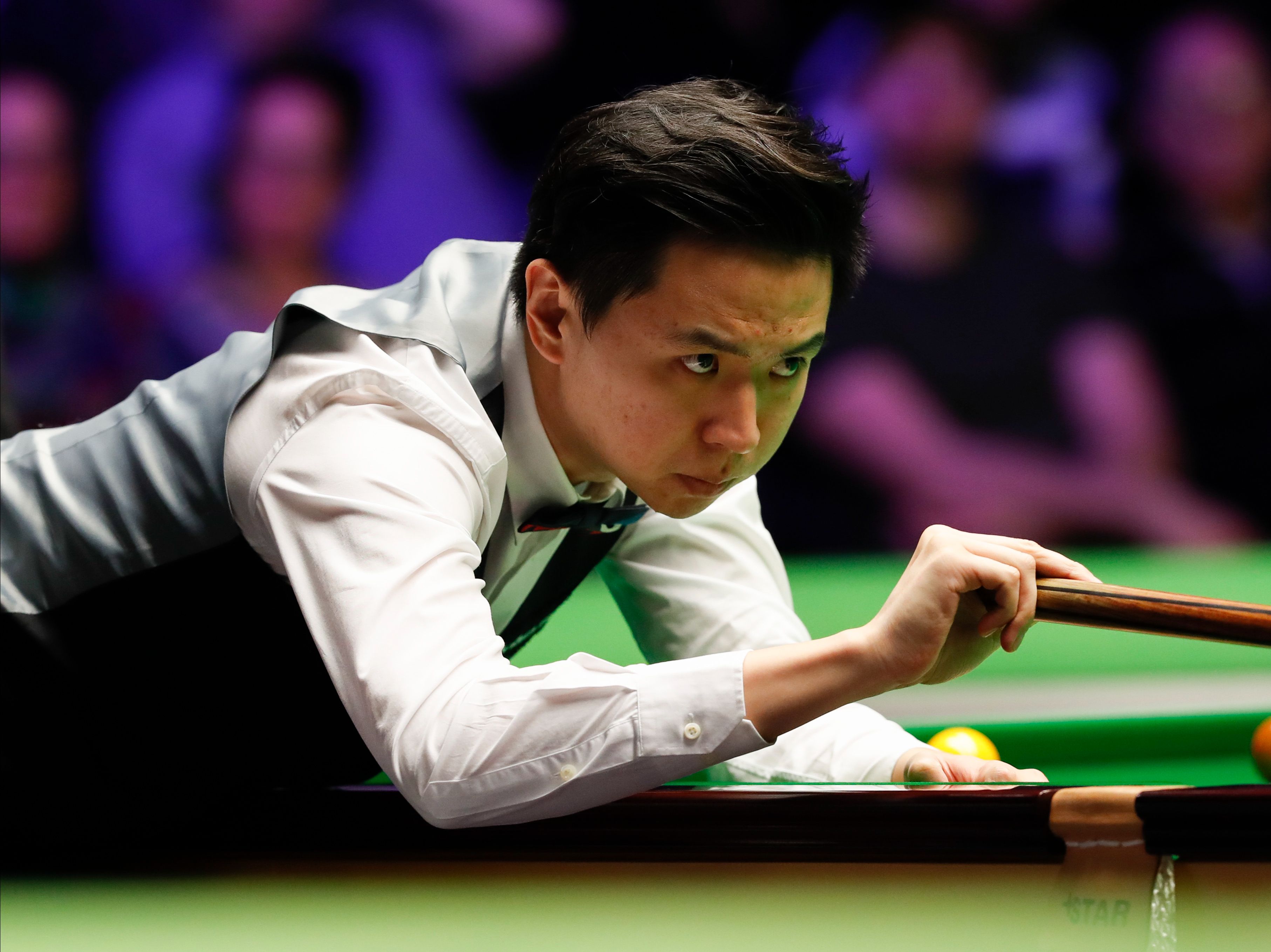 的斗牛比赛 的斗牛比赛